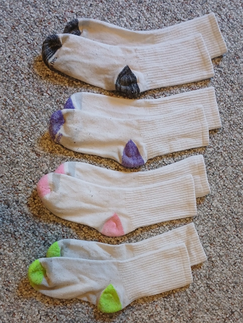 Women's White Crew Socks with Colored Toe Accents